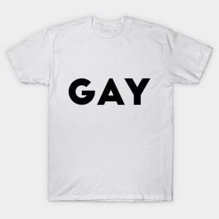 Gay T-Shirt